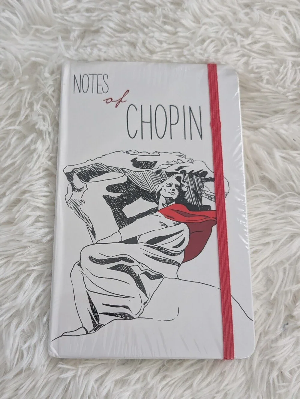 NEW Notes Of Chopin Poland Notebook Approx 9